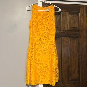 NY & Company Eva Mendes dress